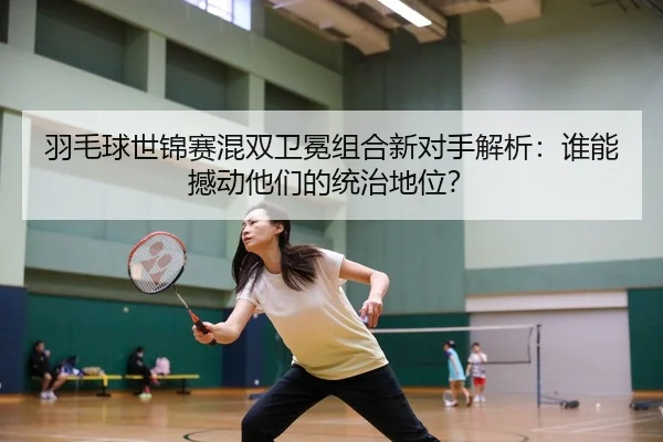 yu-mao-qiu-shi-jin-sai-hun-shuang-wei-mian-zu-he-xin-dui-shou-jie-xi-shui-neng-han-dong-ta-men-de-tong-zhi-di-wei-2-578.jpg