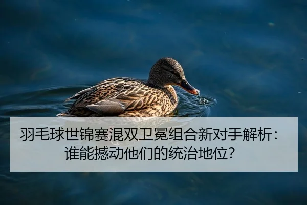 羽毛球世锦赛混双卫冕组合新对手解析：谁能撼动他们的统治地位？